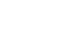 overstock white