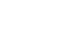 shopify white