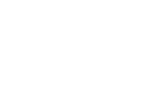 threadflip white